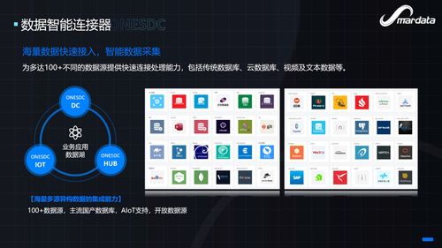 軟件能力，重新想象 數睿數據出席Njsd2021第七屆全球軟件大會，共話數字文化創意軟件開發新篇章